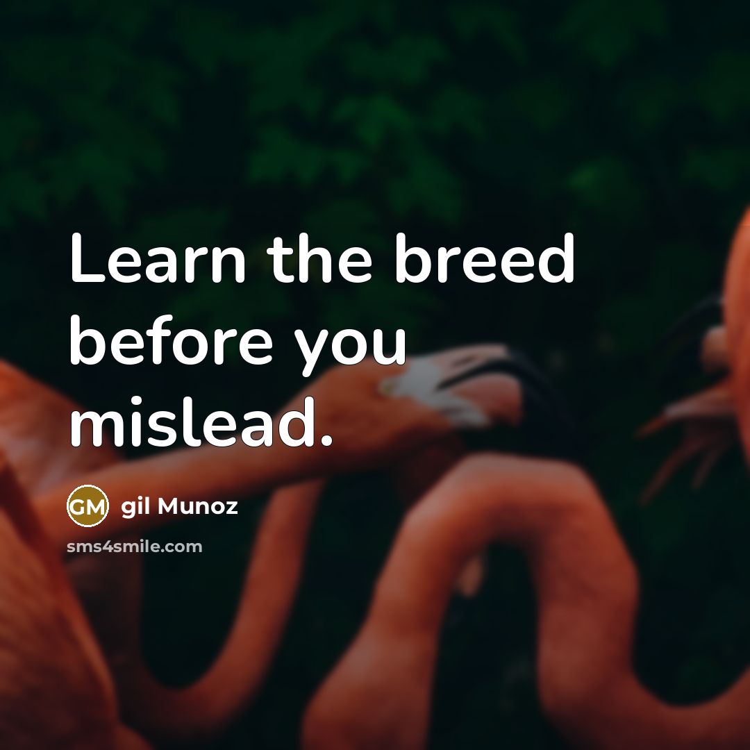 “Learn the breed before you mislead.” quote by gil Munoz