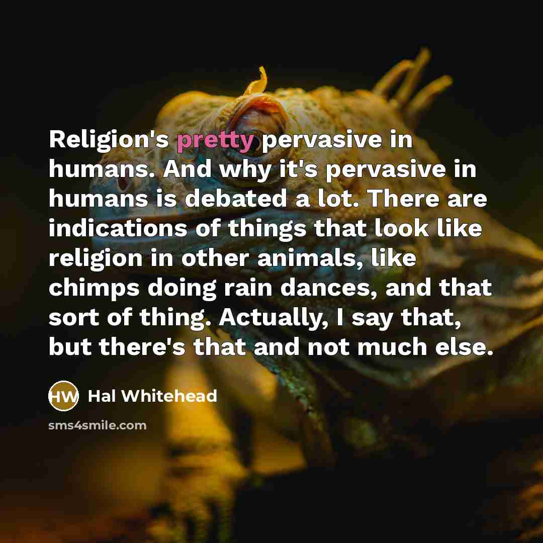 “Religion's pretty pervasive in humans. And why it's pervasive in…” quote by Hal Whitehead