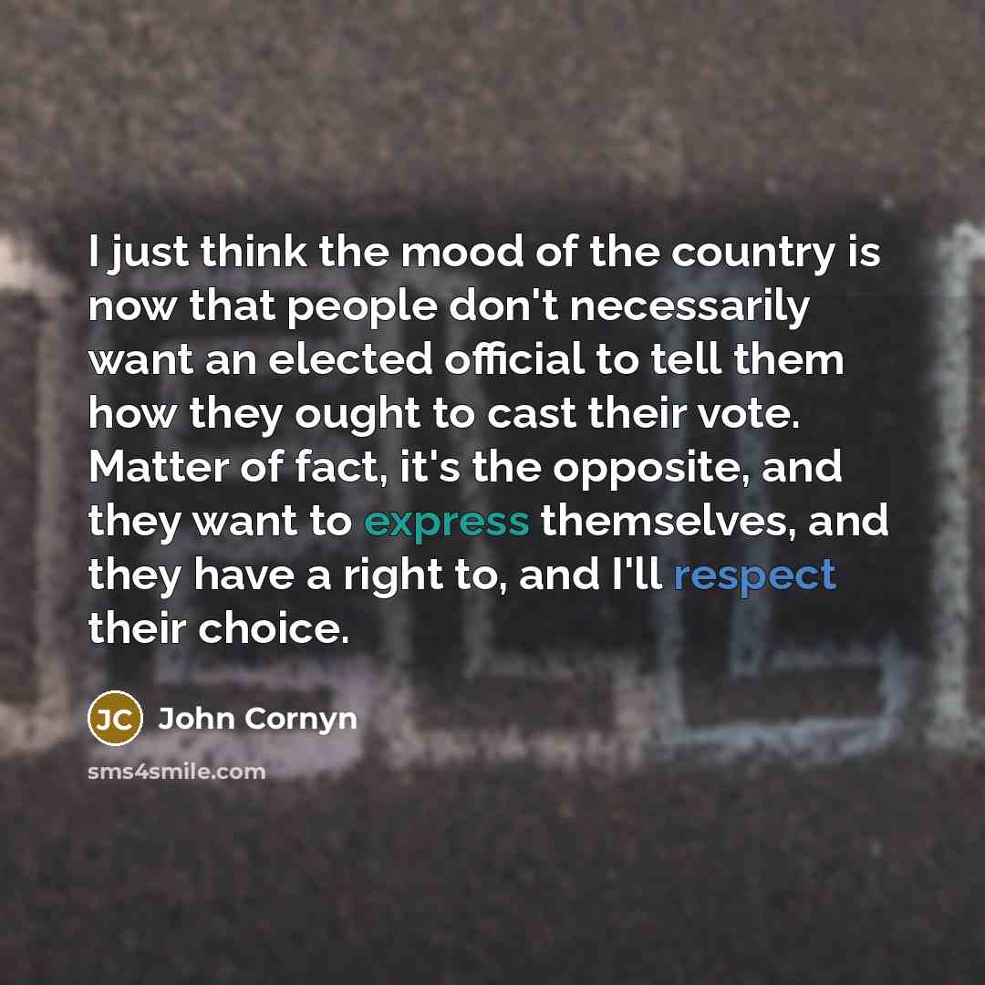 “I just think the mood of the country is now…” quote by John Cornyn