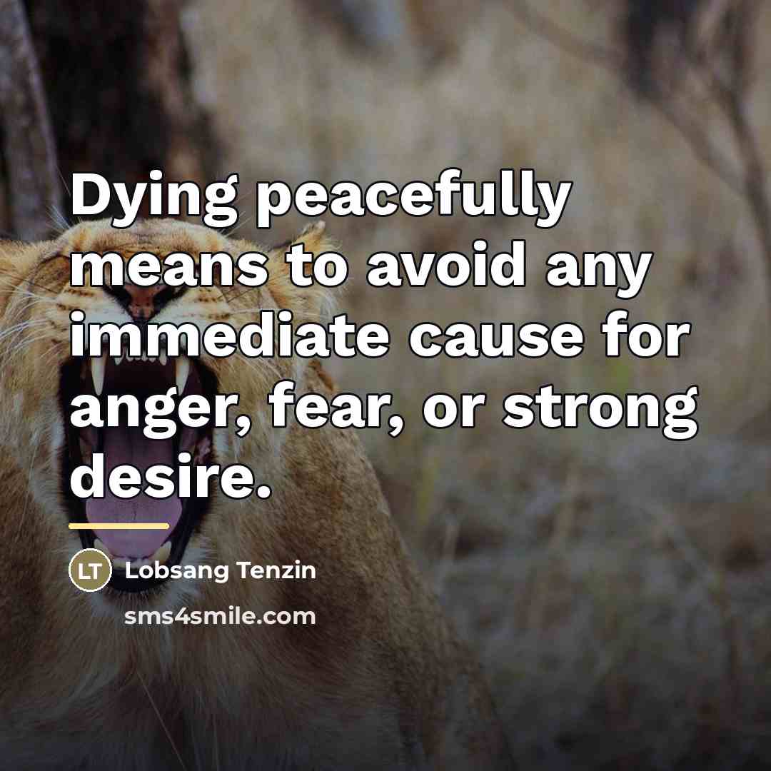 “Dying peacefully means to avoid any immediate cause for anger,…” quote by Lobsang Tenzin