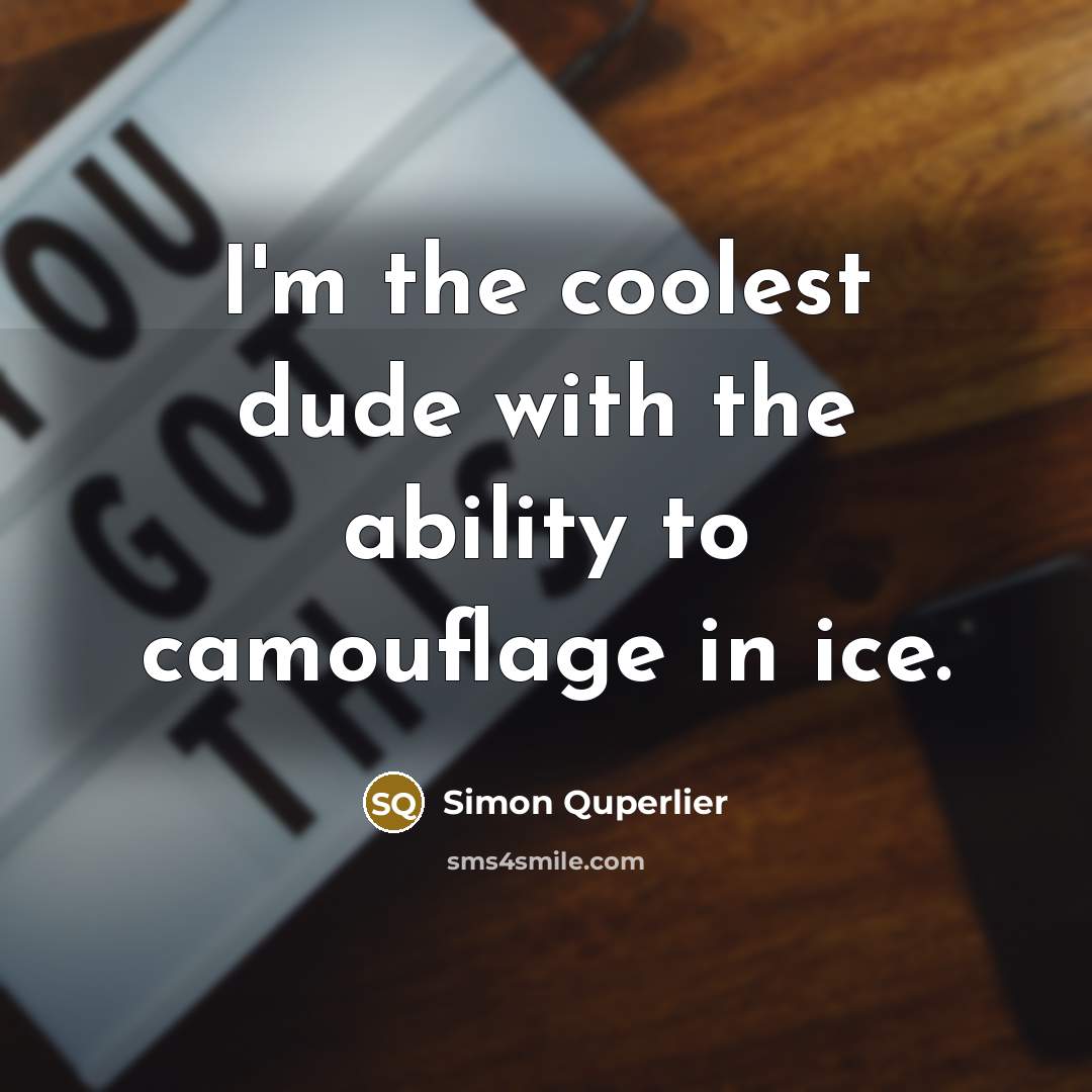 “I'm the coolest dude with the ability to camouflage in…” quote by Simon Quperlier
