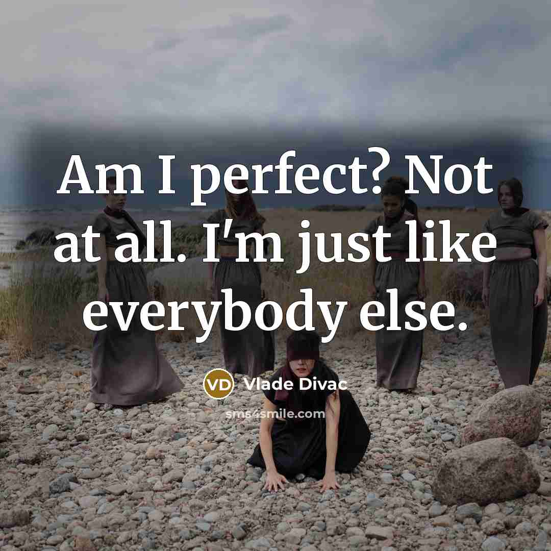 “Am I perfect? Not at all. I'm just like everybody…” quote by Vlade Divac