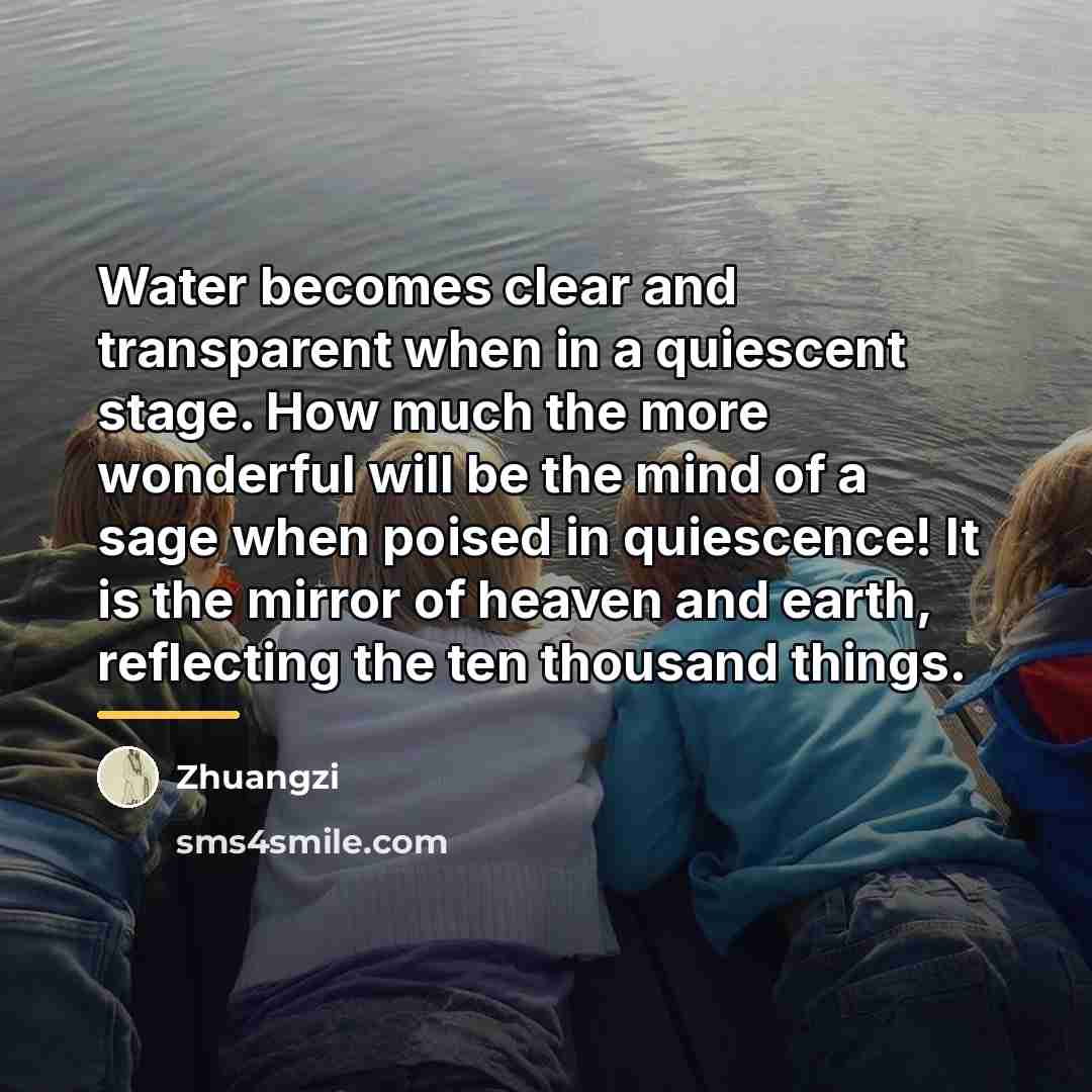 “Water becomes clear and transparent when in a quiescent stage.…” quote by Zhuangzi
