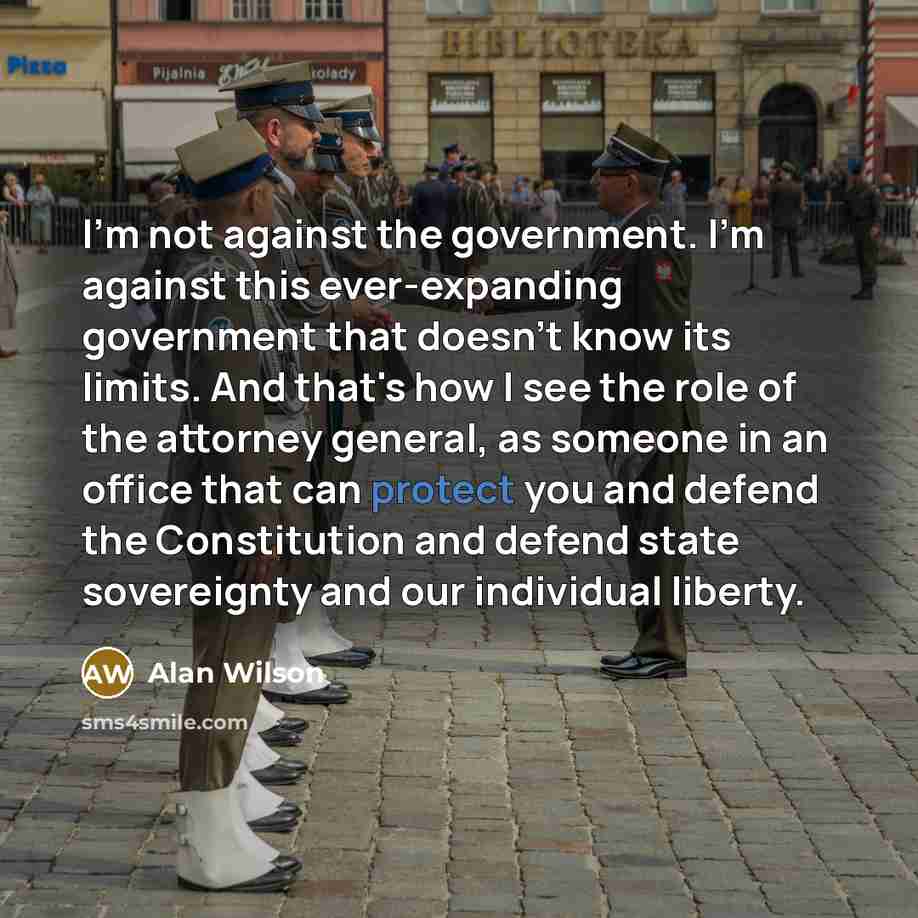“I'm not against the government. I'm against this ever-expanding government…” quote by Alan Wilson
