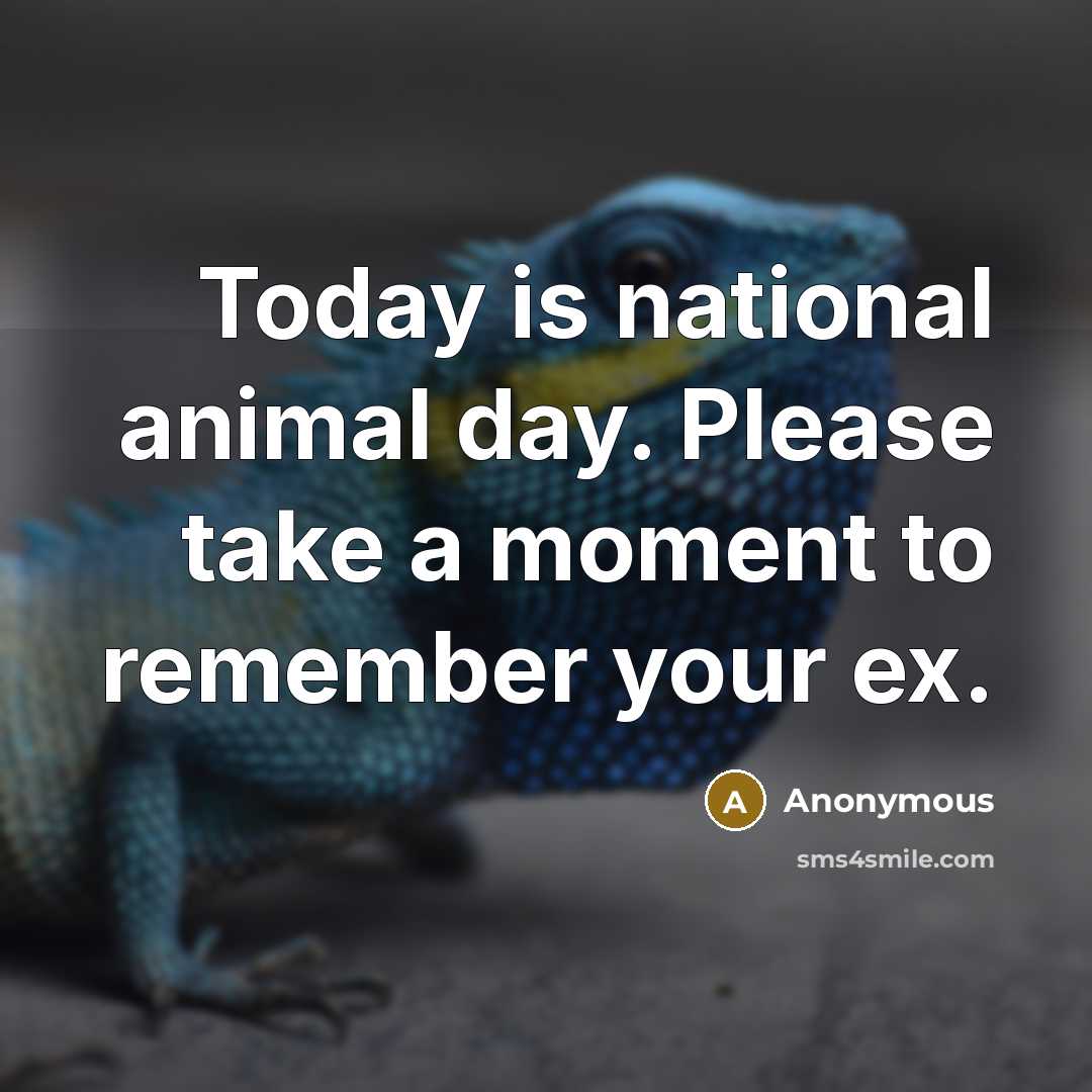 “Today is national animal day. Please take a moment to remember your ex.” quote by Anonymous