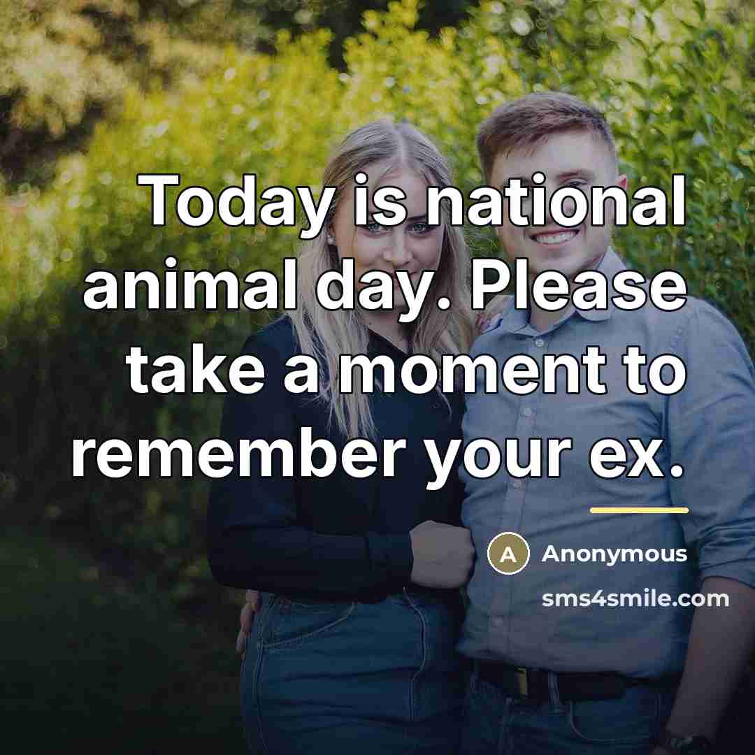 “Today is national animal day. Please take a moment to…” quote by Anonymous