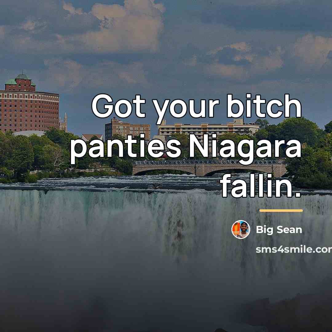 “Got your bitch panties Niagara fallin.…” quote by Big Sean