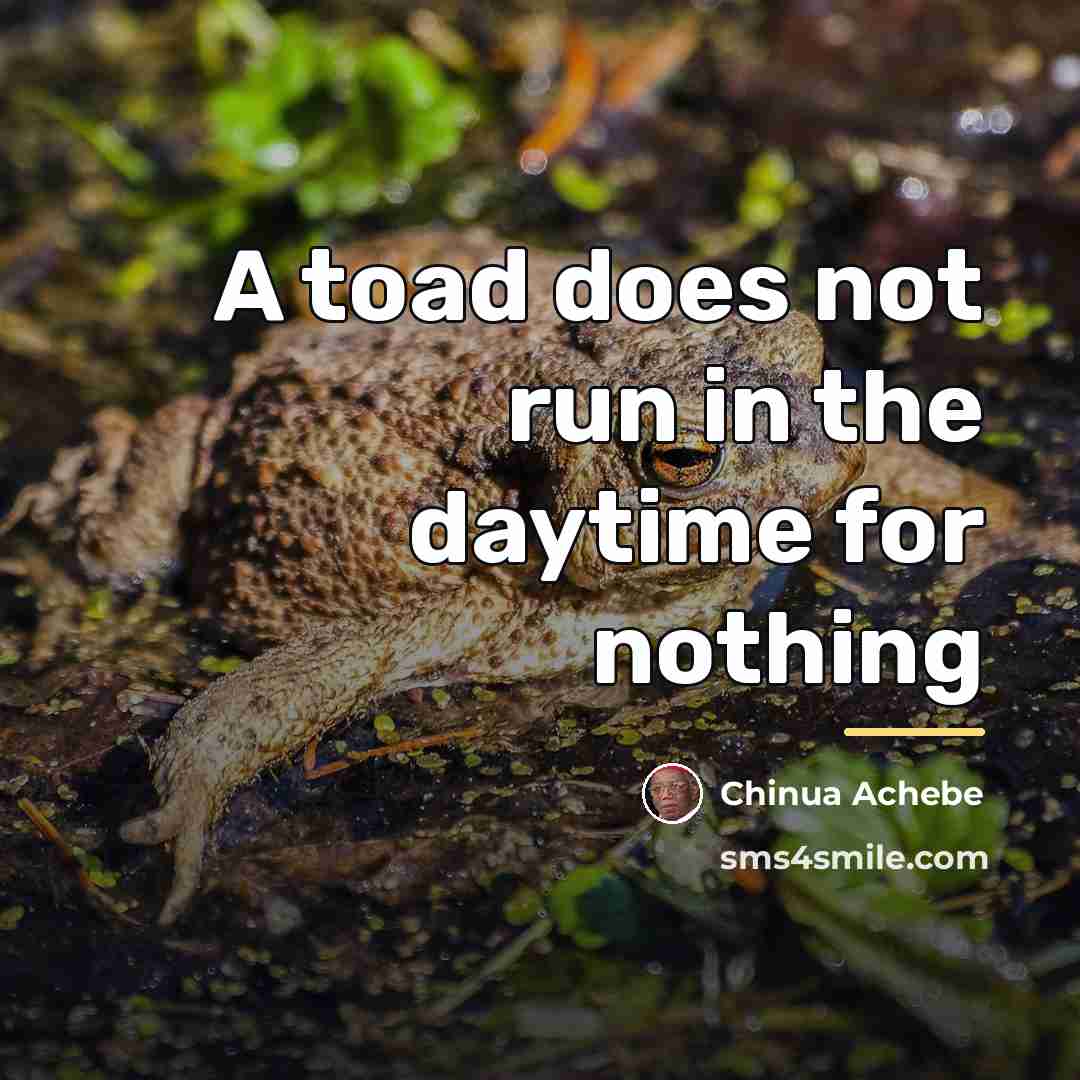 “A toad does not run in the daytime for nothing…” quote by Chinua Achebe
