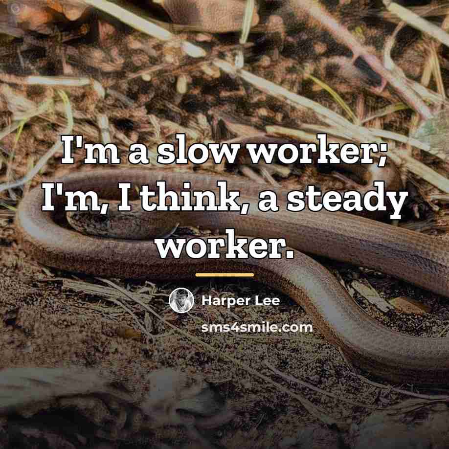 “I'm a slow worker; I'm, I think, a steady worker.…” quote by Harper Lee
