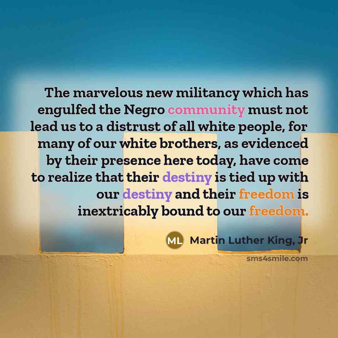 “The marvelous new militancy which has engulfed the Negro community…” quote by Martin Luther King, Jr