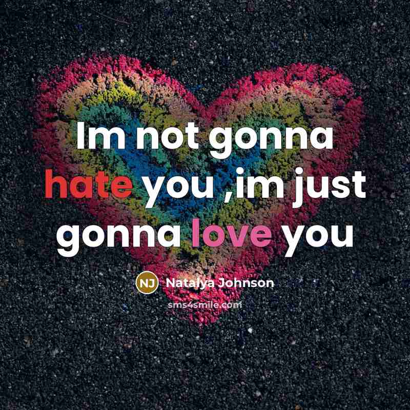 “Im not gonna hate you ,im just gonna love you…” quote by Natalya Johnson