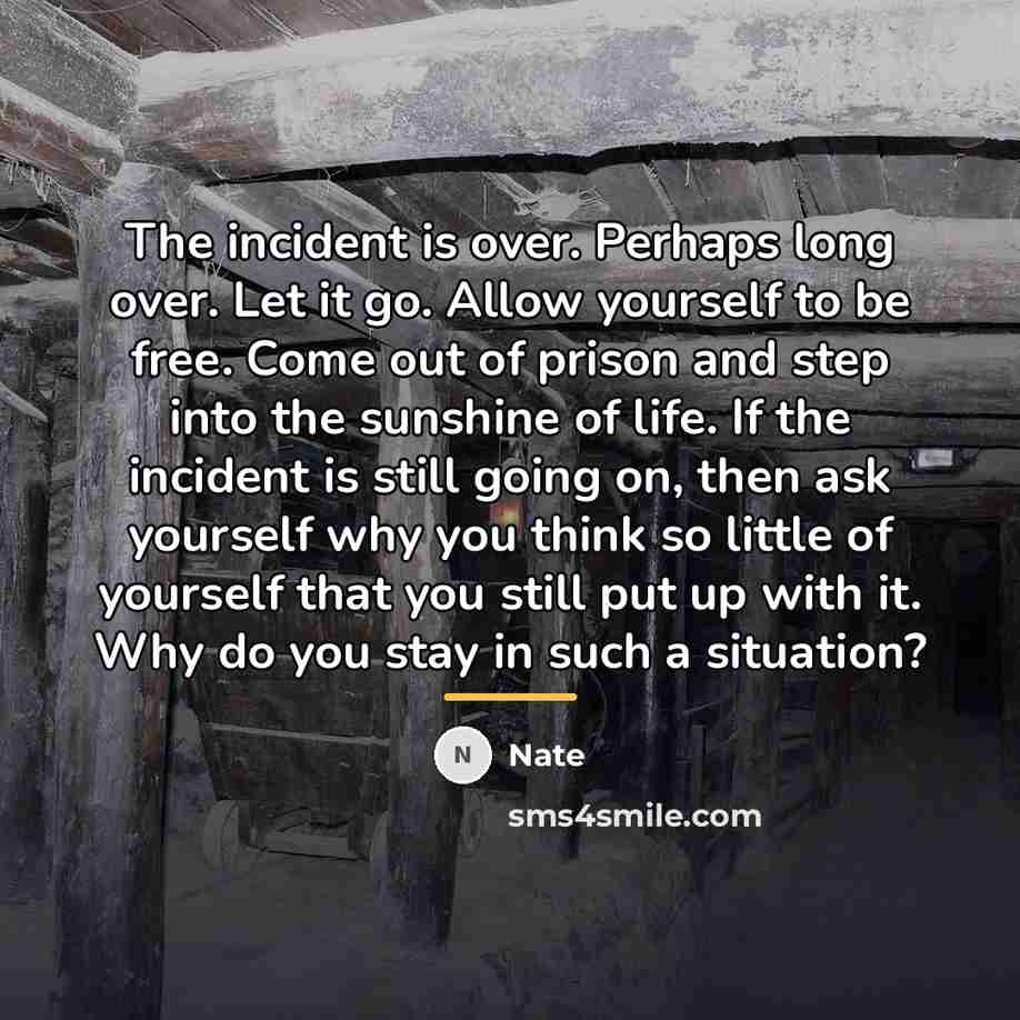 “The incident is over. Perhaps long over. Let it go.…” quote by Nate