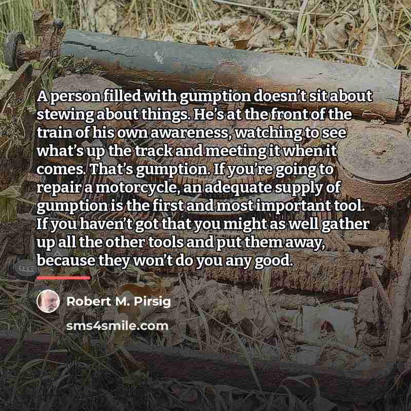 “A person filled with gumption doesn’t sit about stewing about…” quote by Robert M. Pirsig