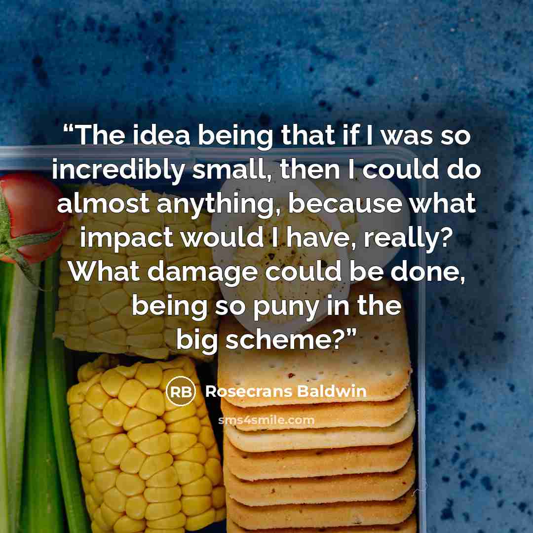“The idea being that if I was so incredibly small, then I could do almost anything, because what impact would I have, really? What damage could be done, being so puny in the big scheme?” quote by Rosecrans Baldwin