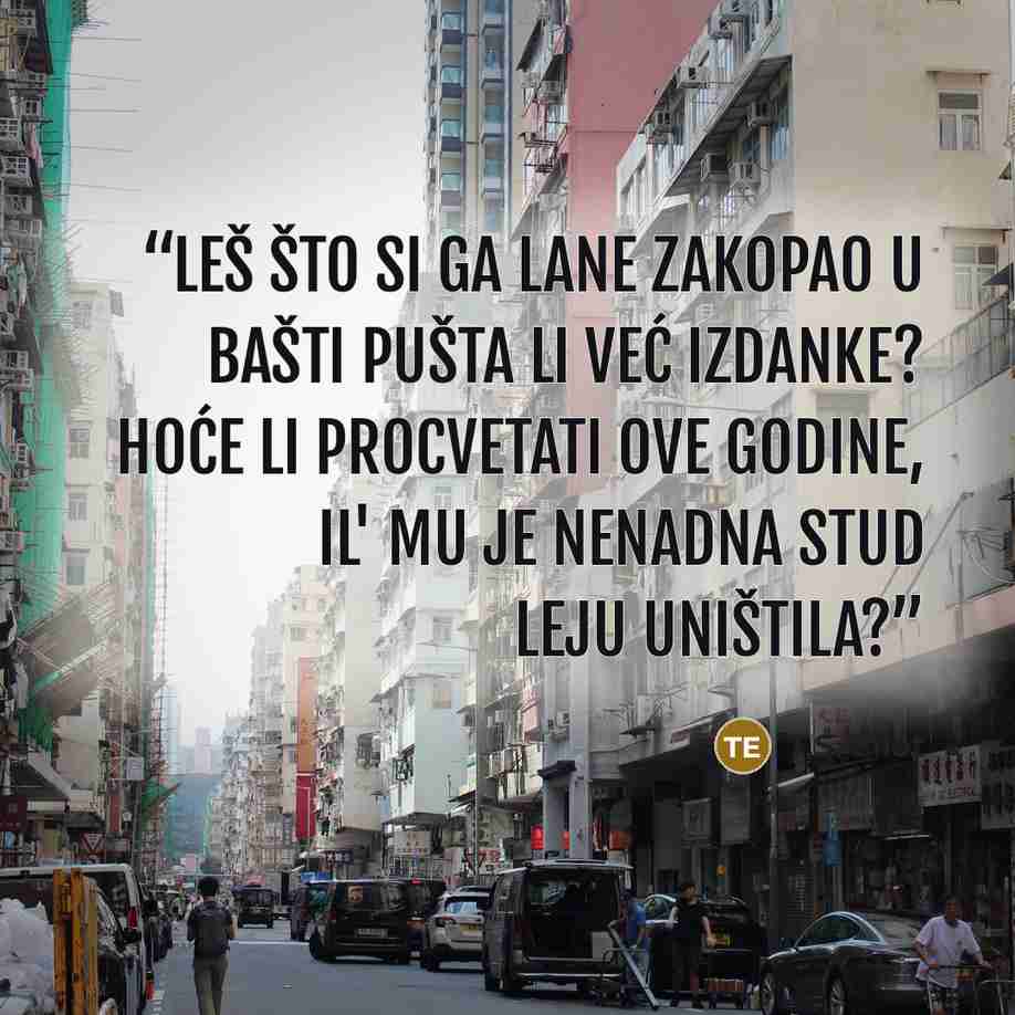 “Leš što si ga lane zakopao u bašti Pušta li već izdanke? Hoće li procvetati ove godine, Il' mu je nenadna stud leju uništila?” quote by T.S. Eliot