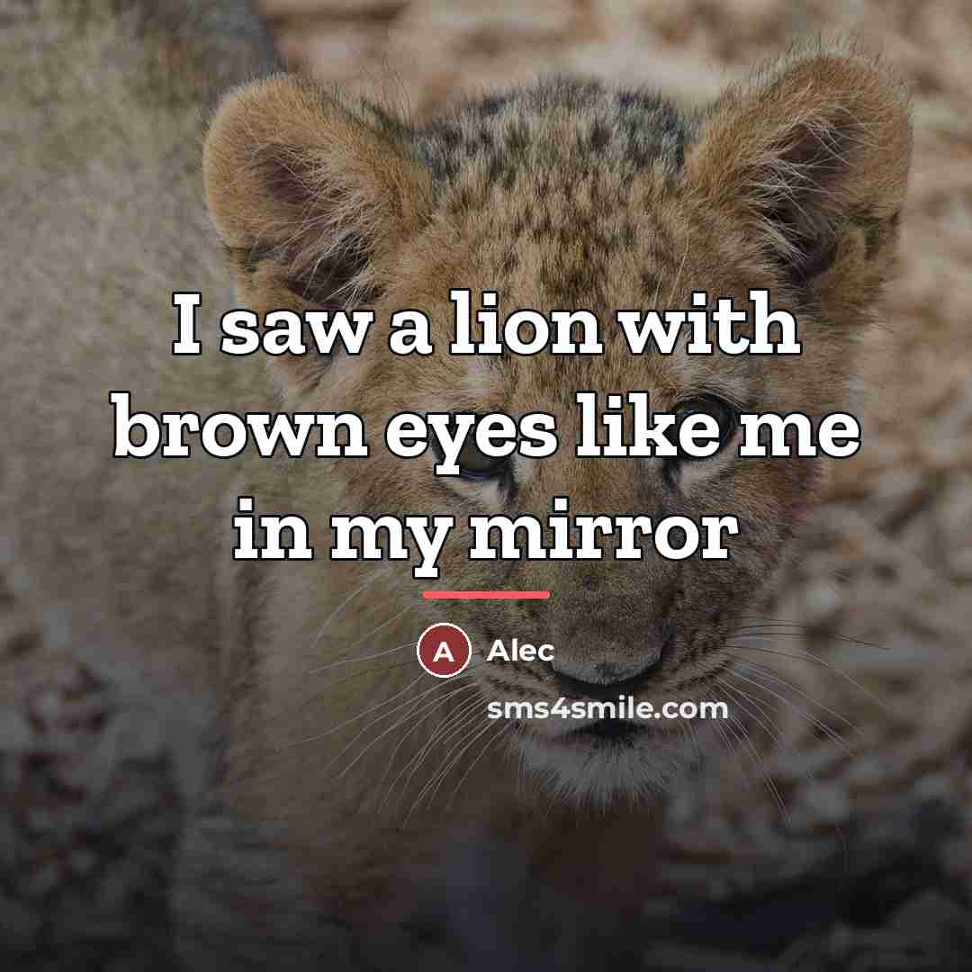 “I saw a lion with brown eyes like me in…” quote by Alec