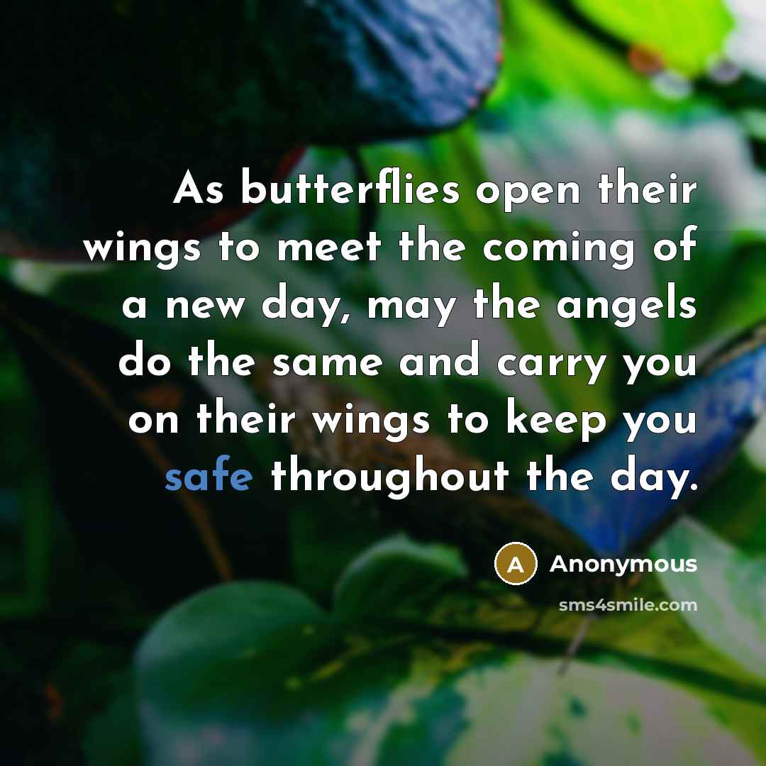 “As butterflies open their wings to meet the coming of…” quote by Anonymous