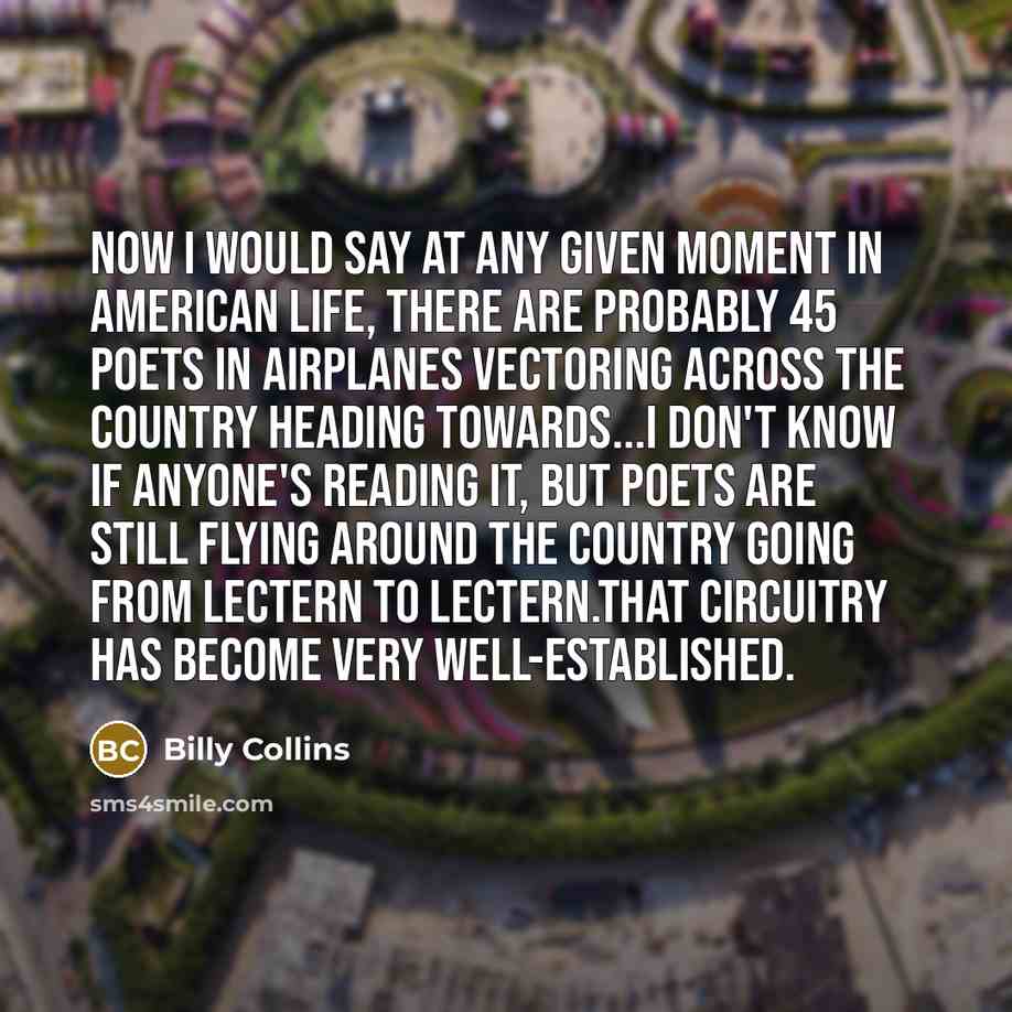“Now I would say at any given moment in American…” quote by Billy Collins