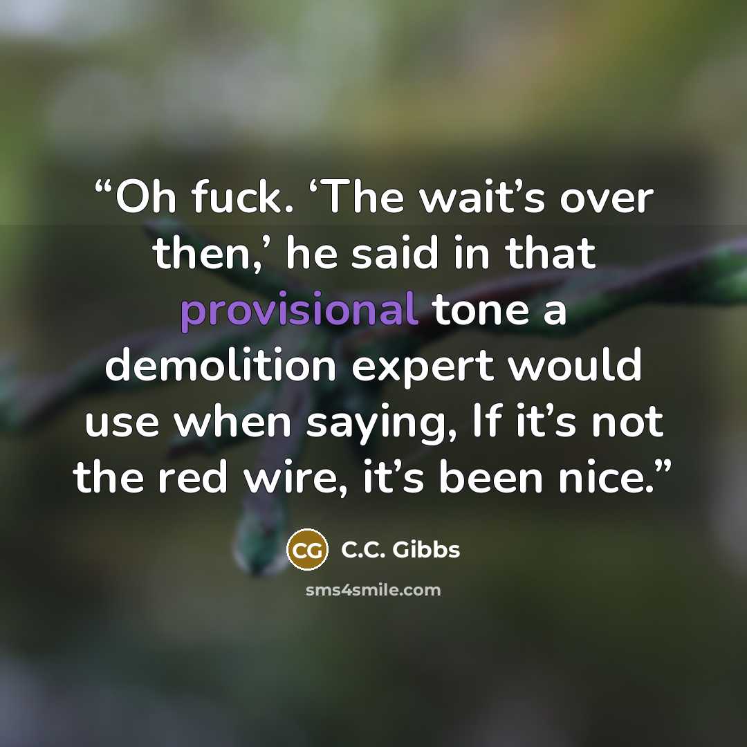 “Oh fuck. ‘The wait’s over then,’ he said in that provisional tone a demolition expert would use when saying, If it’s not the red wire, it’s been nice.” quote by C.C. Gibbs
