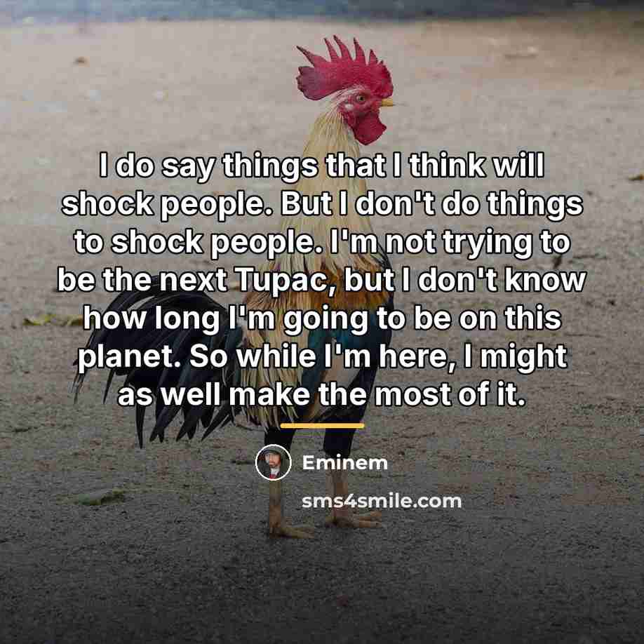 “I do say things that I think will shock people.…” quote by Eminem