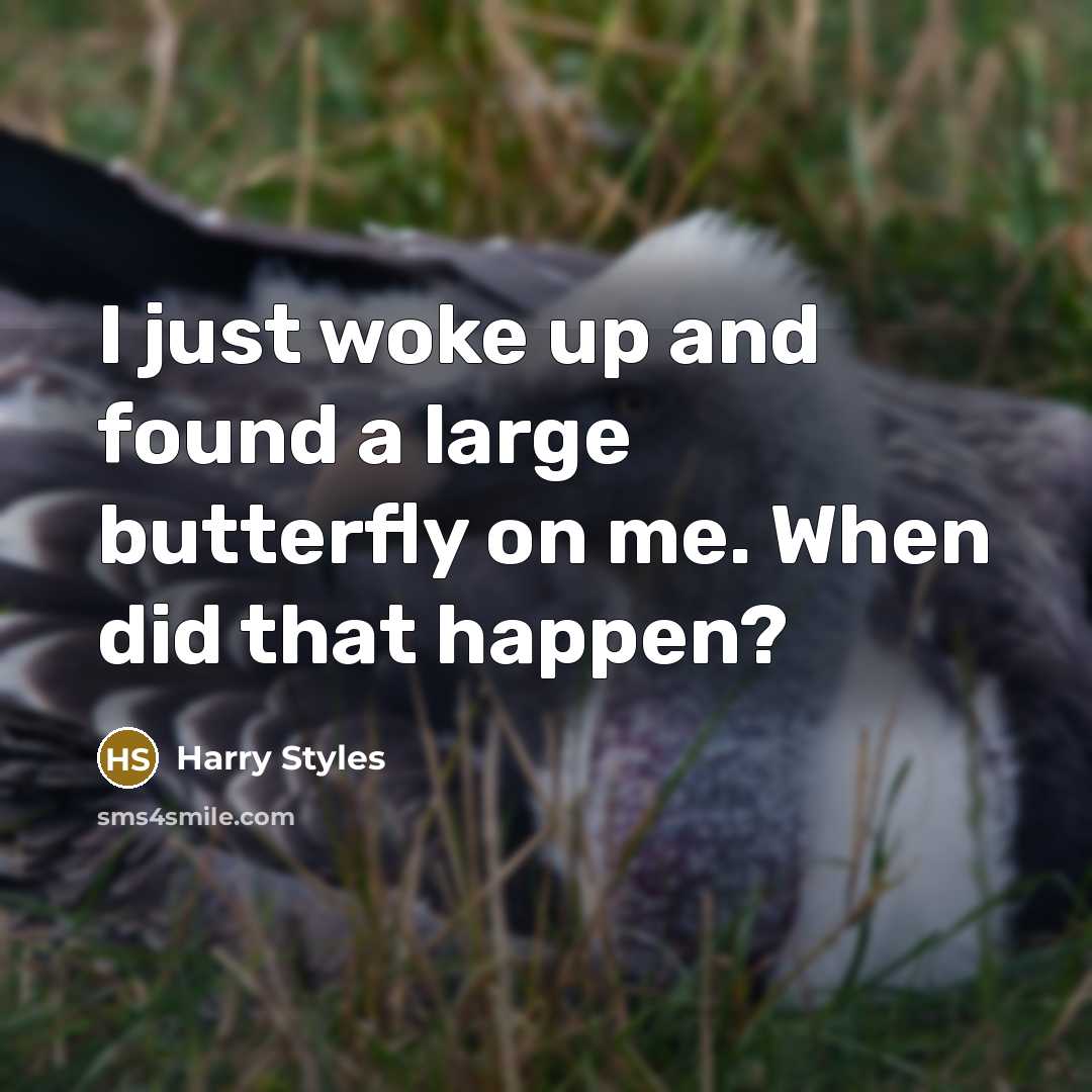 “I just woke up and found a large butterfly on…” quote by Harry Styles
