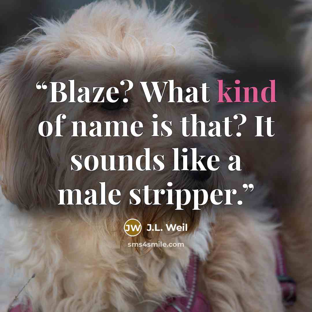 “Blaze? What kind of name is that? It sounds like a male stripper.” quote by J.L. Weil