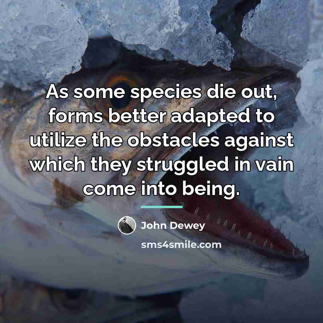 “As some species die out, forms better adapted to utilize…” quote by John Dewey