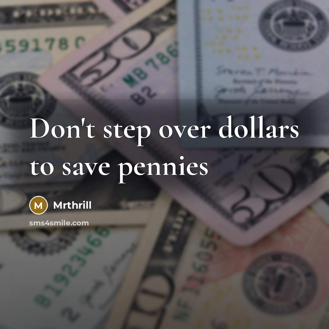 “Don't step over dollars to save pennies…” quote by Mrthrill