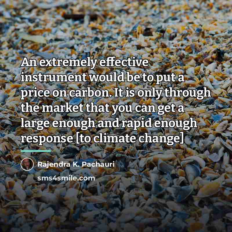 “An extremely effective instrument would be to put a price…” quote by Rajendra K. Pachauri