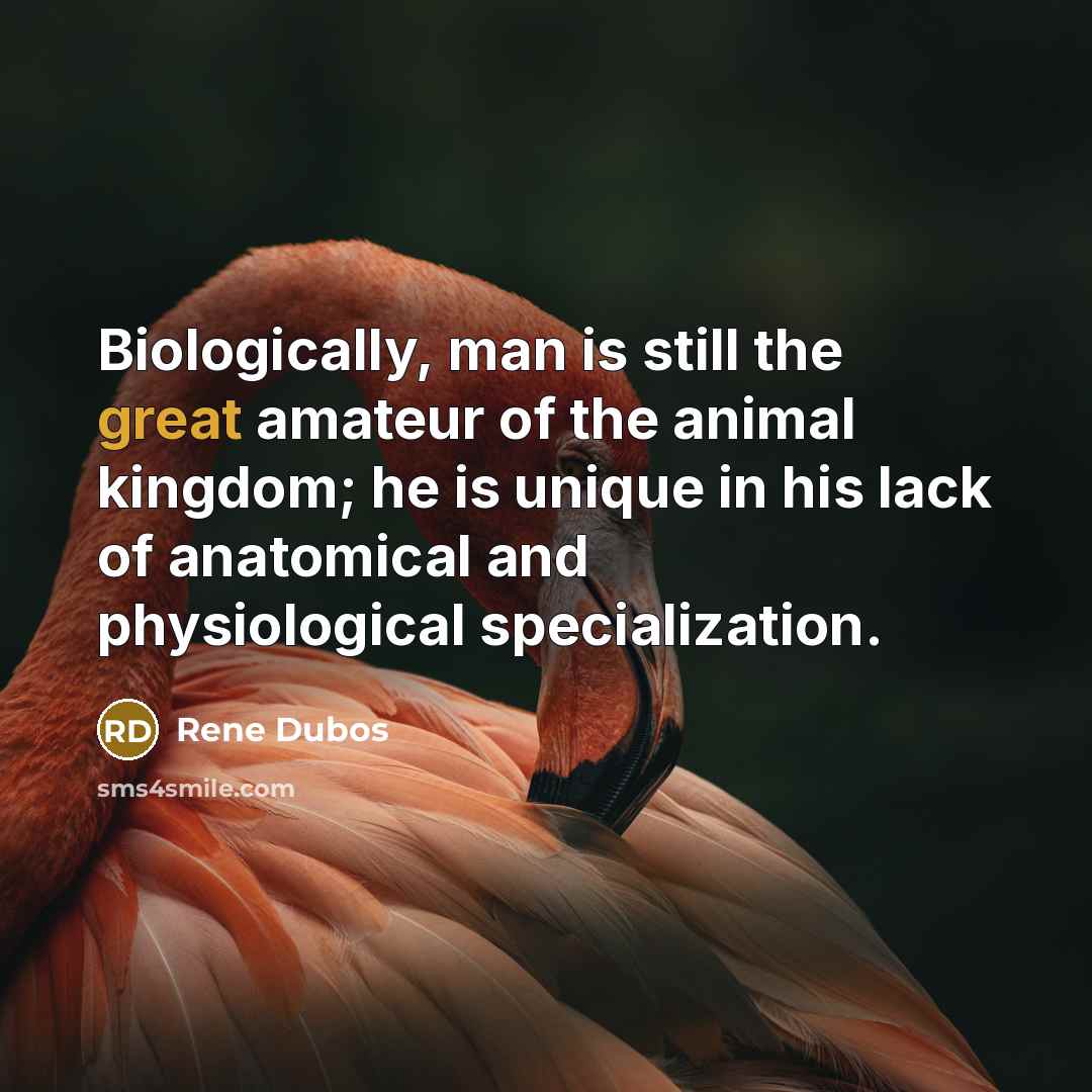 “Biologically, man is still the great amateur of the animal…” quote by Rene Dubos