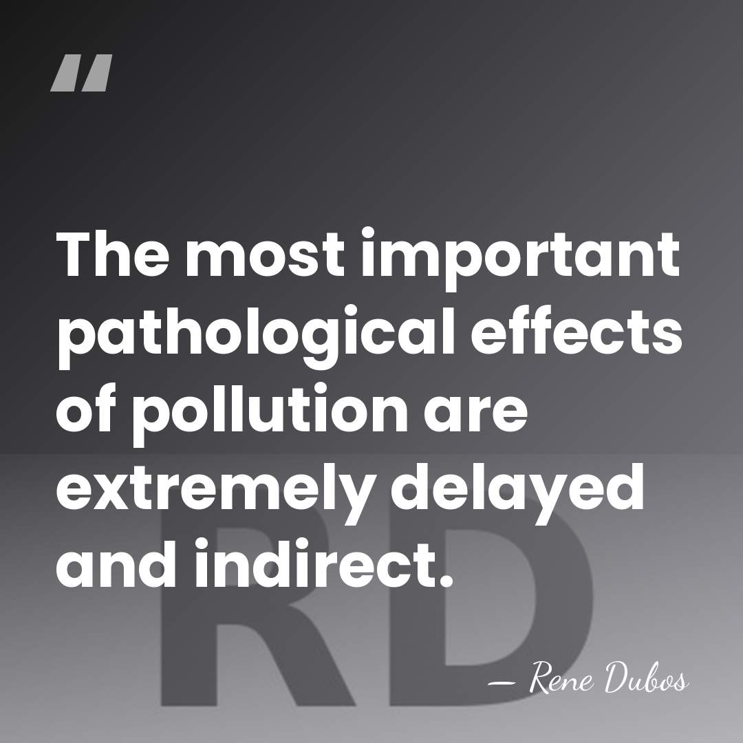 The most important pathological effects of pollution are extremely delayed and indirect. - Rene Dubos