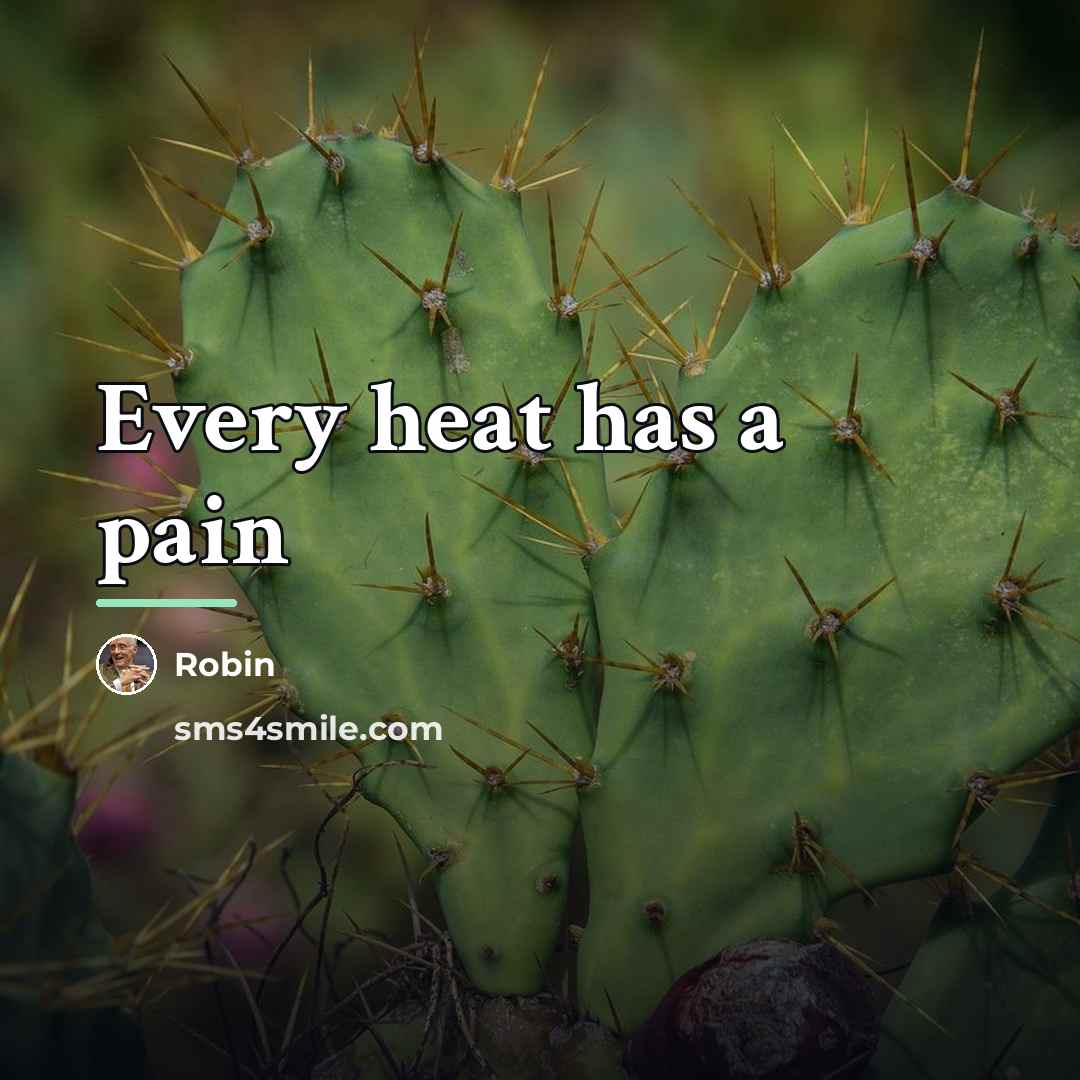 “Every heat has a pain…” quote by Robin