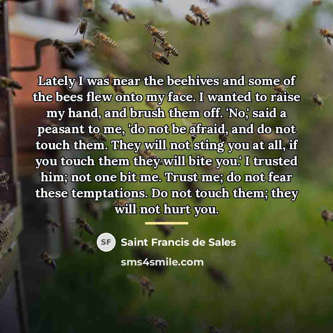 “Lately I was near the beehives and some of the…” quote by Saint Francis de Sales