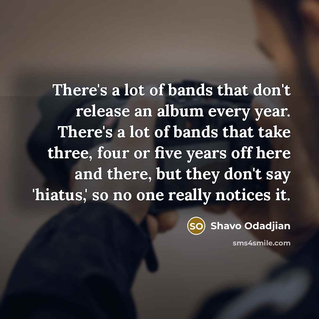 “There's a lot of bands that don't release an album…” quote by Shavo Odadjian