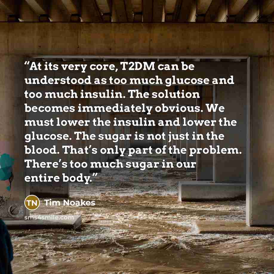 “At its very core, T2DM can be understood as too much glucose and too much insulin. The solution becomes immediately obvious. We must lower the insulin and lower the glucose. The sugar is not just in the blood. That’s only part of the problem. There’s too much sugar in our entire body.” quote by Tim Noakes