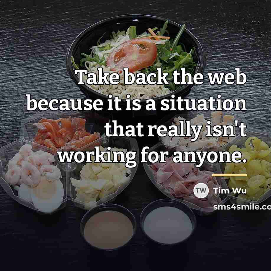“Take back the web because it is a situation that…” quote by Tim Wu