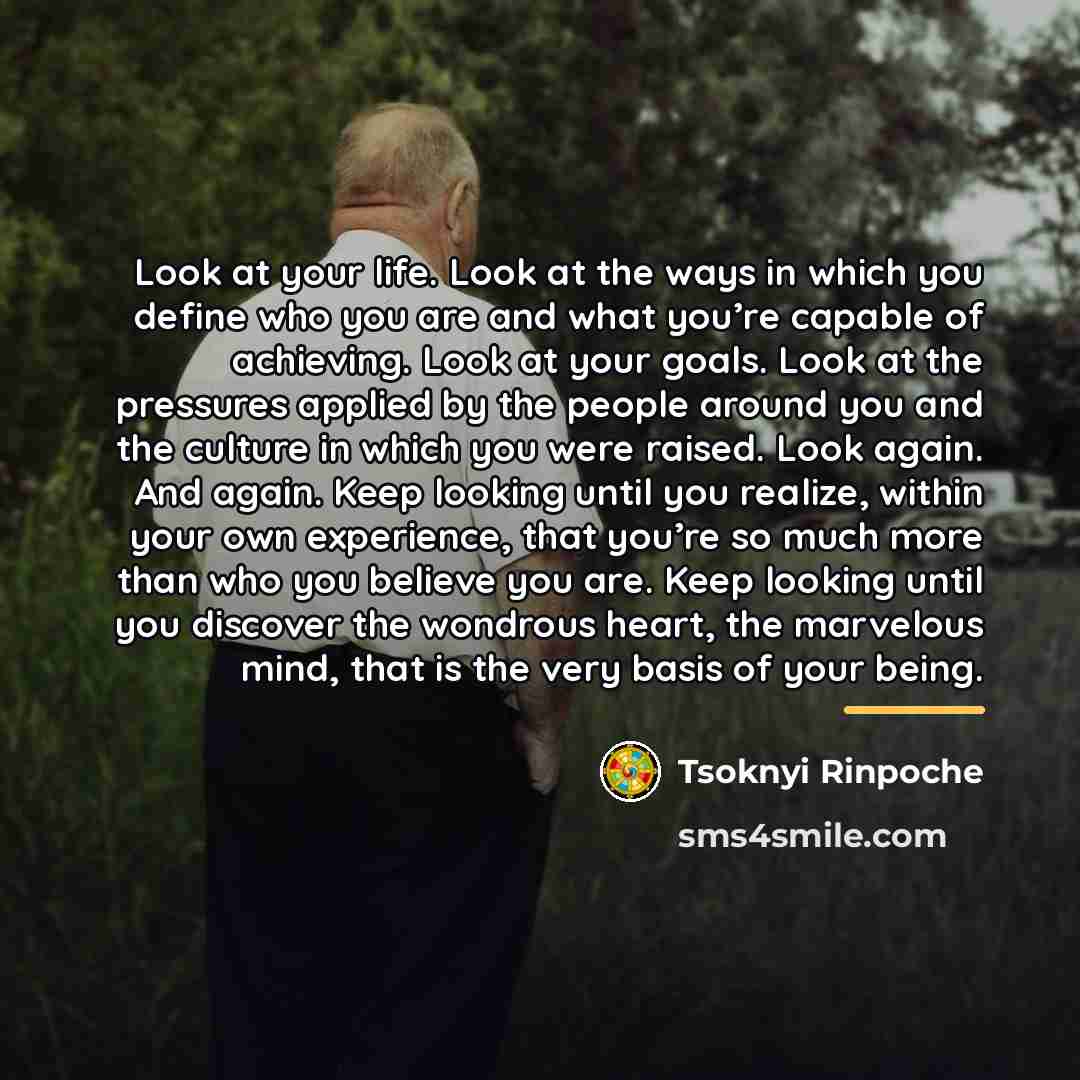 “Look at your life. Look at the ways in which…” quote by Tsoknyi Rinpoche