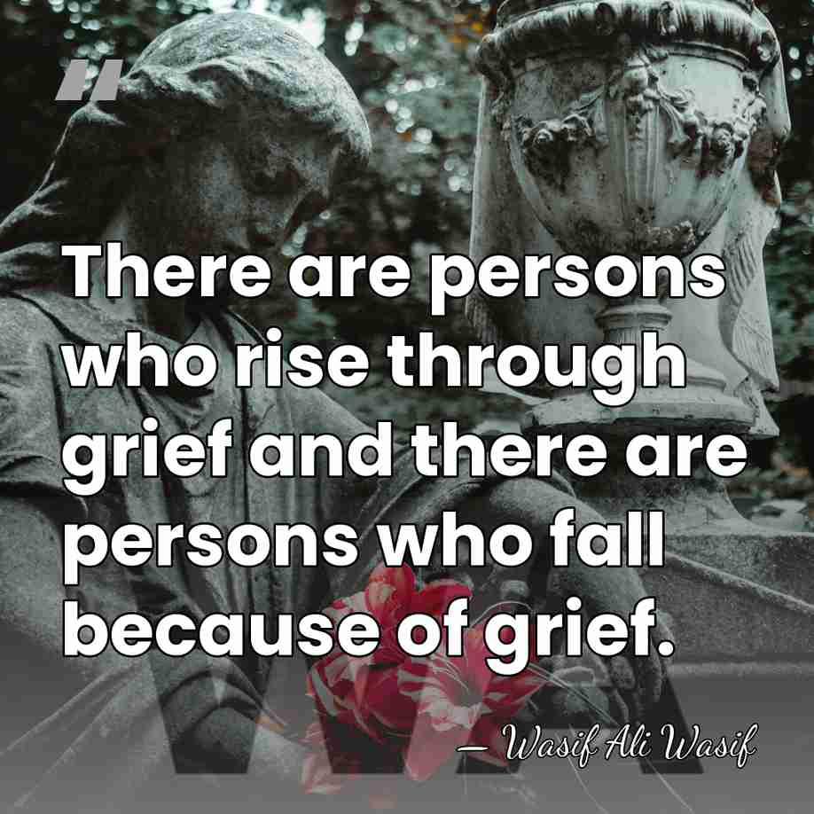 There are persons who rise through grief and there are persons who&hellip; - Wasif Ali Wasif