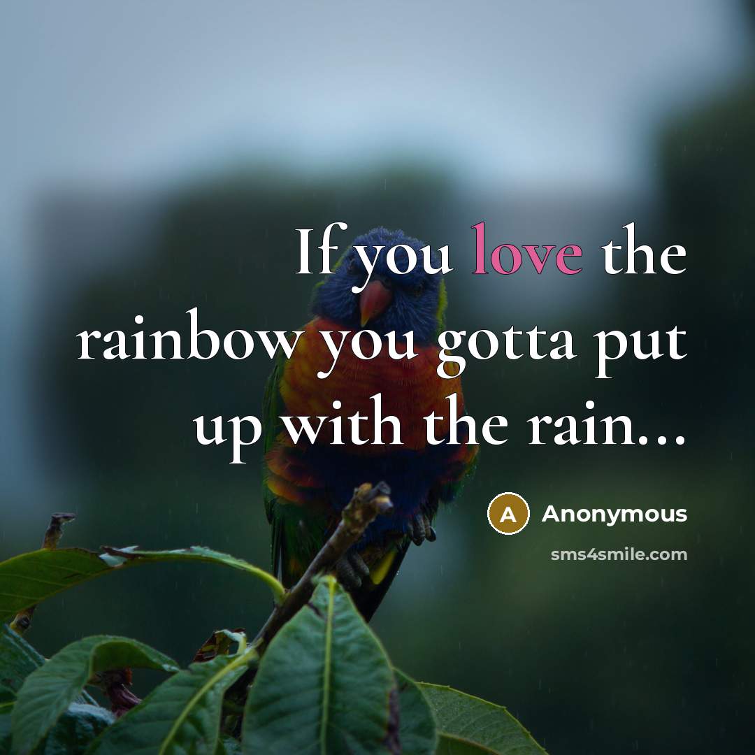 “If you love the rainbow you gotta put up with…” quote by Anonymous
