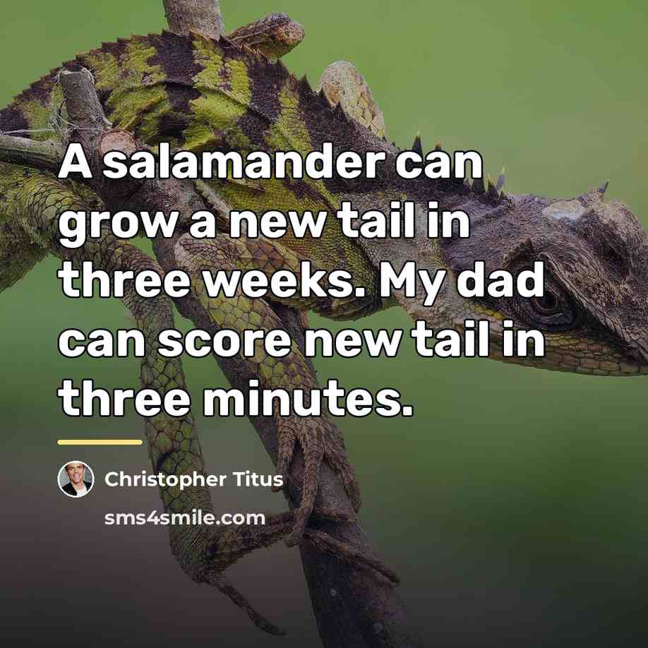 “A salamander can grow a new tail in three weeks.…” quote by Christopher Titus