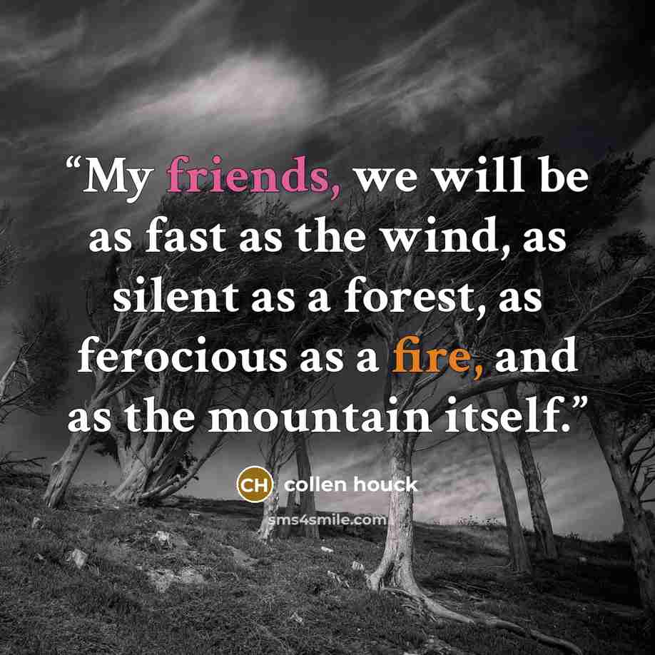 “My friends, we will be as fast as the wind, as silent as a forest, as ferocious as a fire, and as the mountain itself.” quote by collen houck