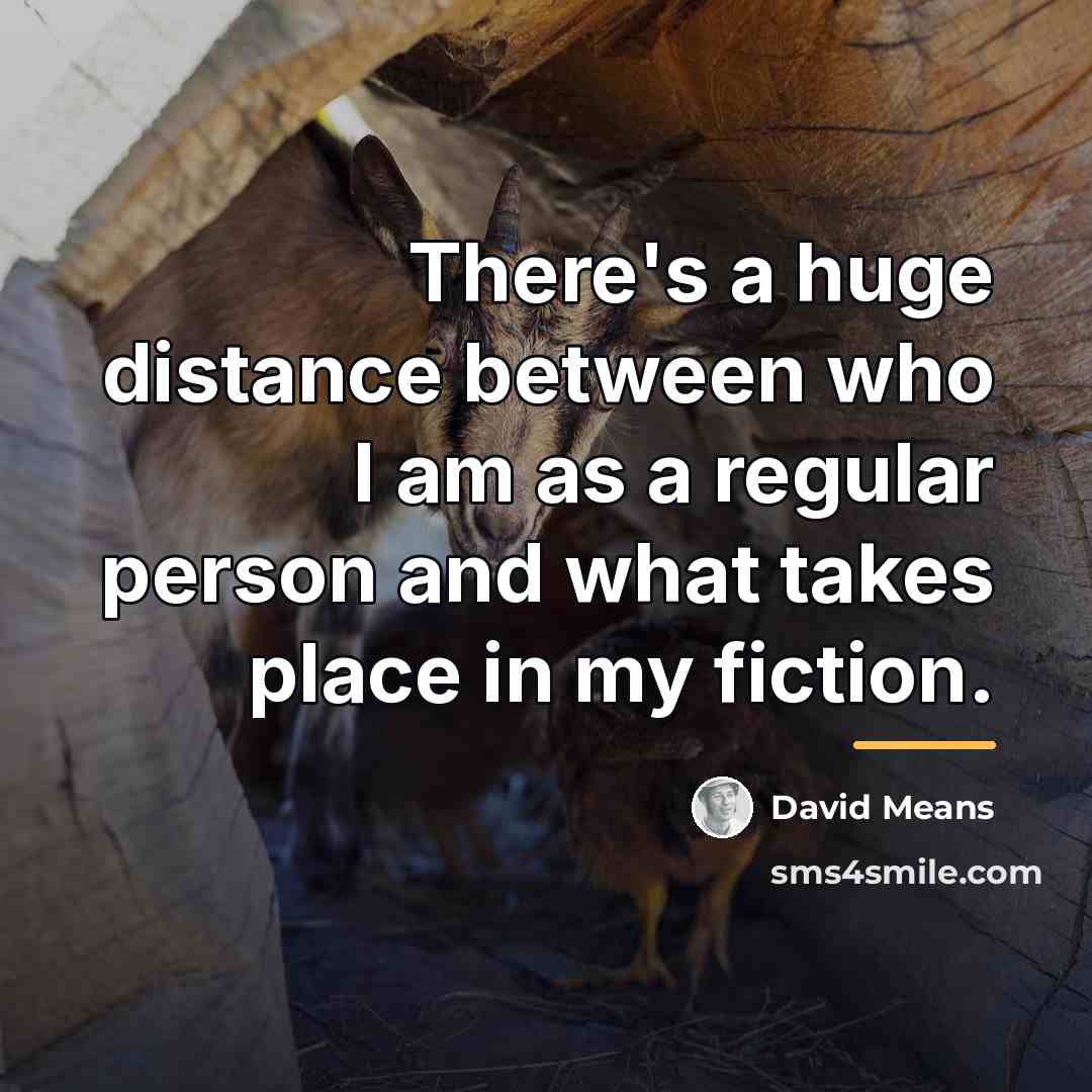 “There's a huge distance between who I am as a…” quote by David Means