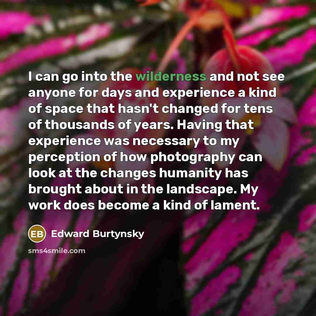 “I can go into the wilderness and not see anyone…” quote by Edward Burtynsky