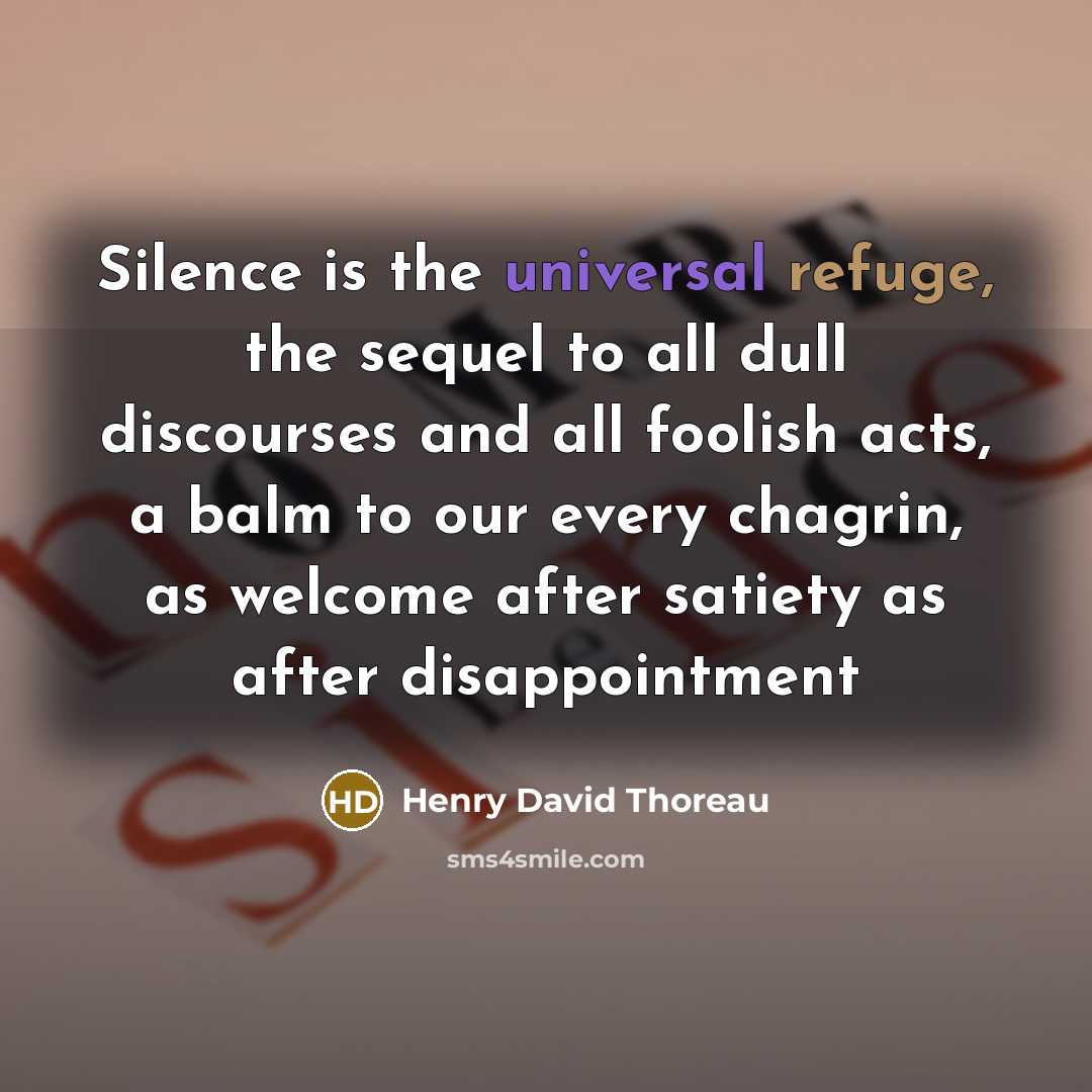 “Silence is the universal refuge, the sequel to all dull discourses and all foolish acts, a balm to our every chagrin, as welcome after satiety as after disappointment” quote by Henry David Thoreau