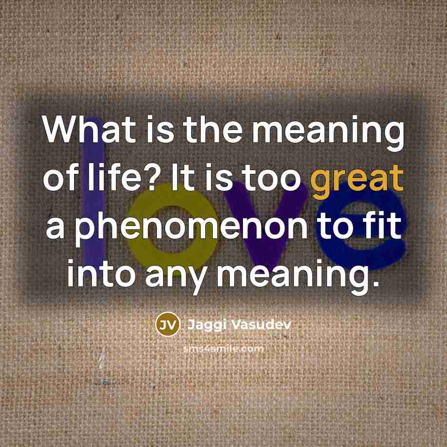 “What is the meaning of life? It is too great…” quote by Jaggi Vasudev