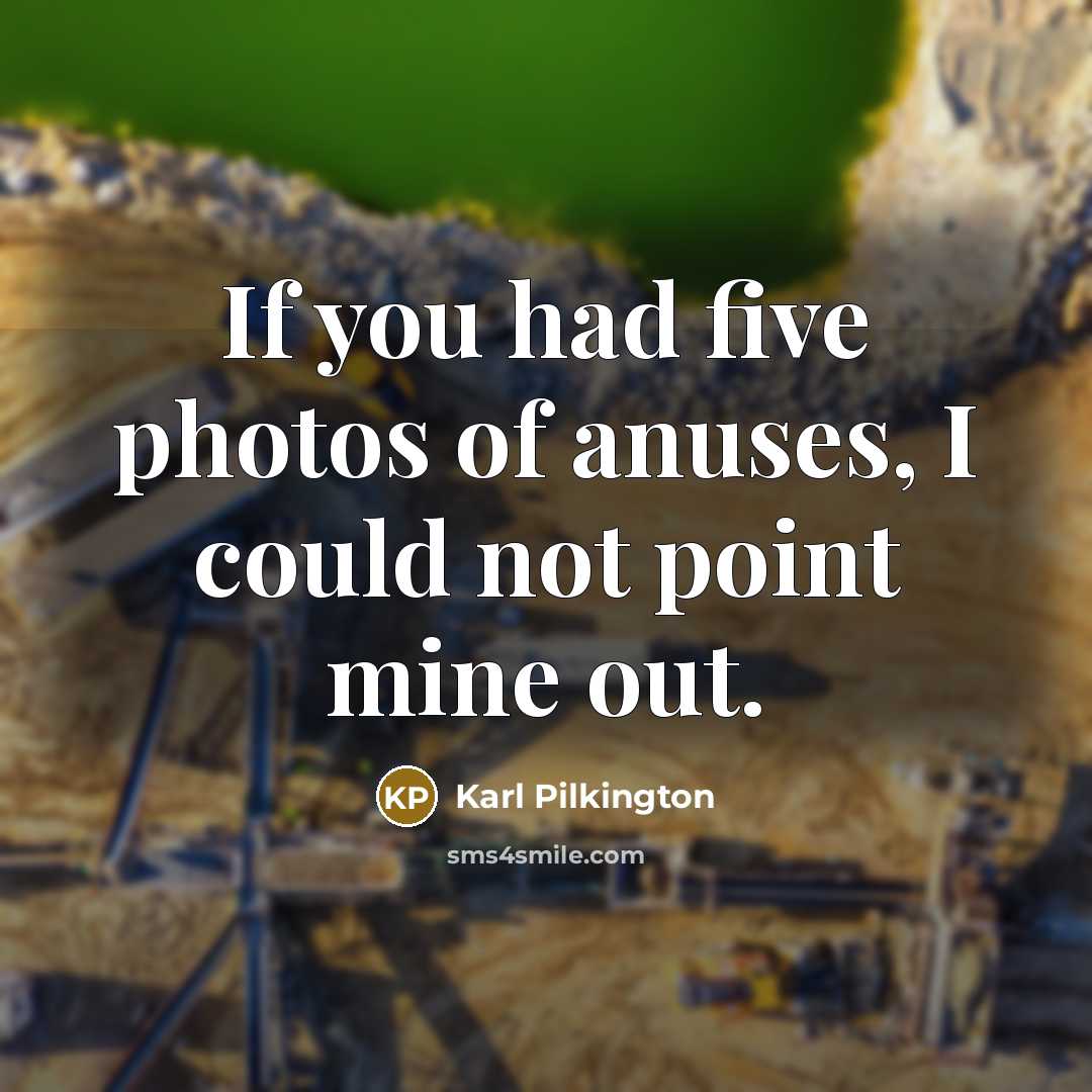 “If you had five photos of anuses, I could not…” quote by Karl Pilkington