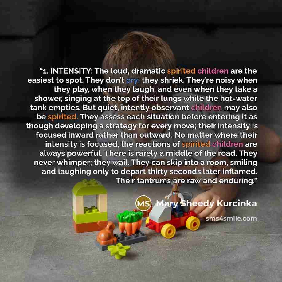 “1. INTENSITY: The loud, dramatic spirited children are the easiest to spot. They don’t cry; they shriek. They’re noisy when they play, when they laugh, and even when they take a shower, singing at the top of their lungs while the hot-water tank empties. But quiet, intently observant children may…” quote by Mary Sheedy Kurcinka