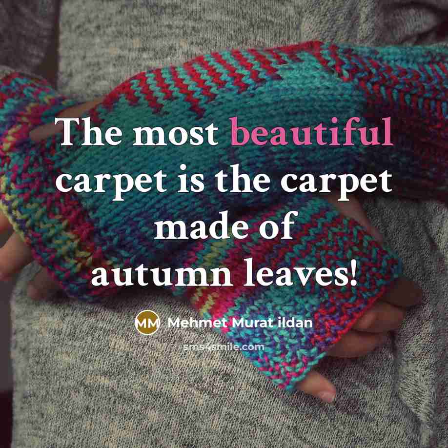 “The most beautiful carpet is the carpet made of autumn…” quote by Mehmet Murat Ildan