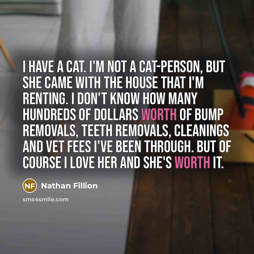 “I have a cat. I'm not a cat-person, but she…” quote by Nathan Fillion