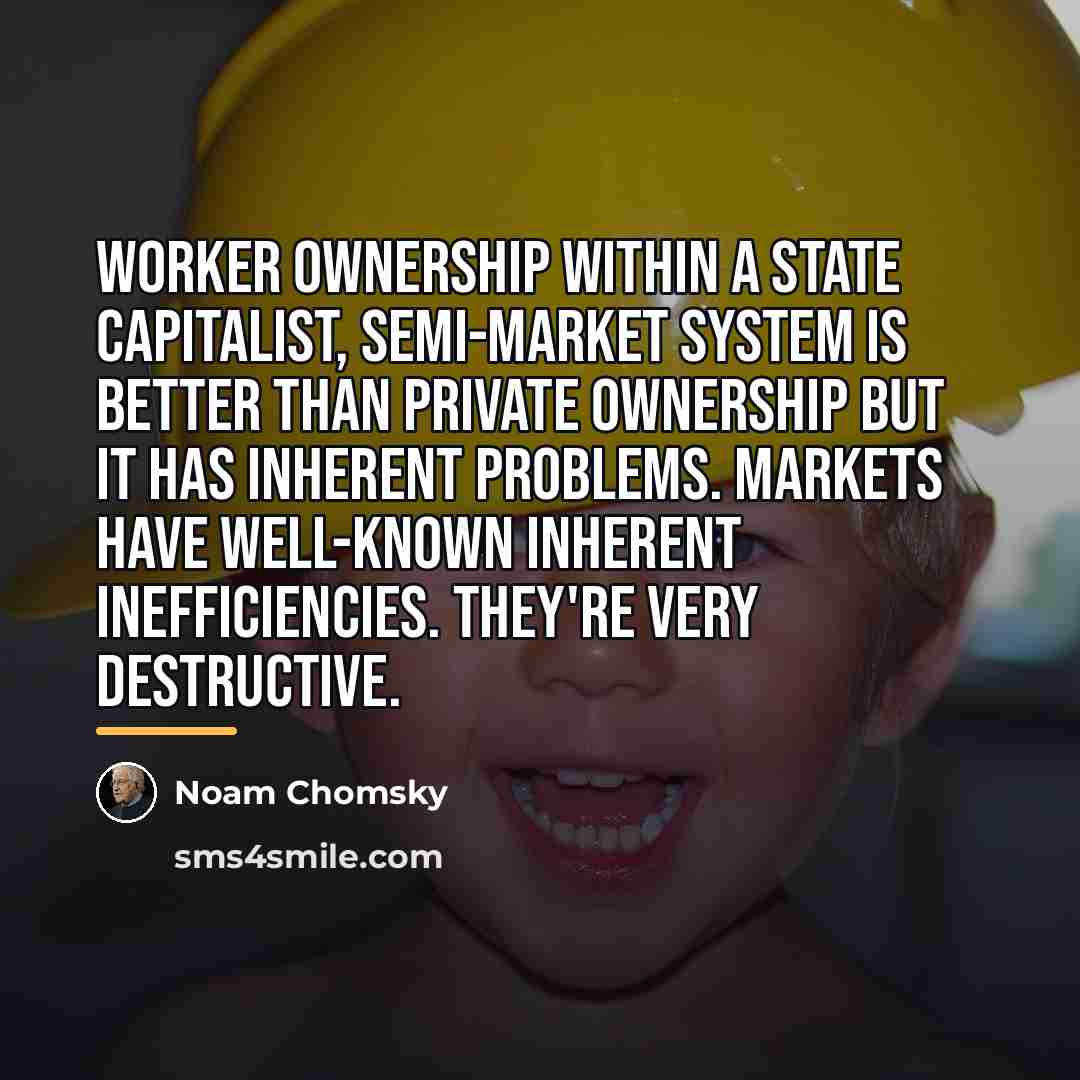 “Worker ownership within a state capitalist, semi-market system is better…” quote by Noam Chomsky